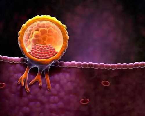 上海供卵能成功吗,上海第一妇婴做试管成功率高吗？