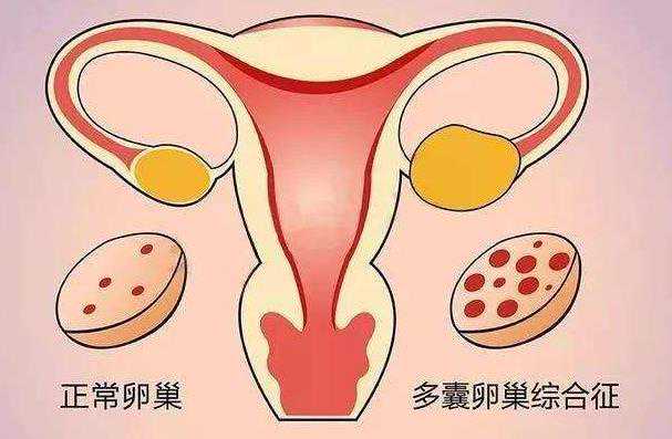 宁波妇儿医院试管三四级新鲜胚胎养囊成功率多少？
