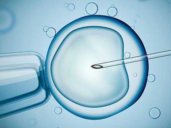 上海供卵试管助孕生子 上海可以供精的医院有哪些？ ‘中医号脉看男女多久可