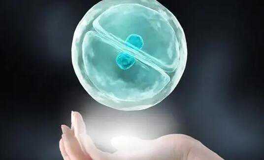 试管移植后吃什么有助于胚胎着床