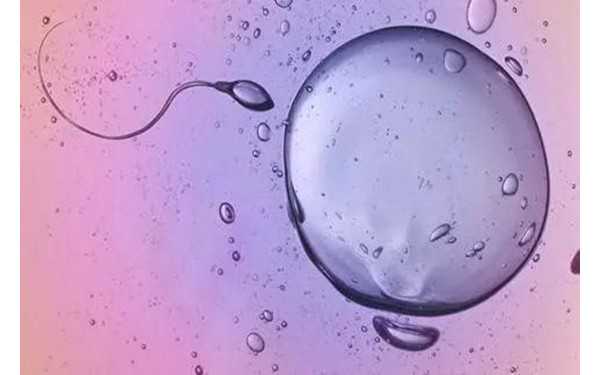 有胚胎第二次月经后移植还要重新检查吗？