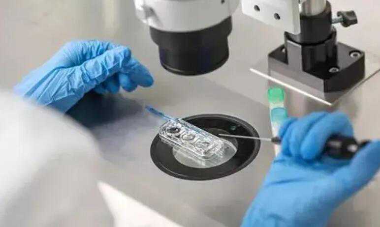 试管婴儿胚胎移植环节，仍然需要努力，配合依然很重要！