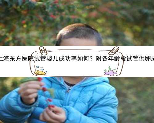 2023上海东方医院试管婴儿成功率如何？附各年龄段试管供卵成功率