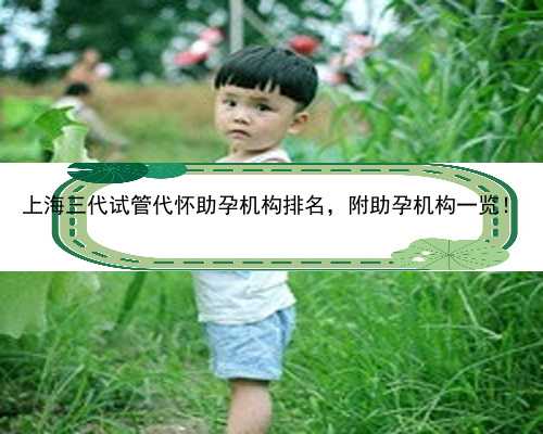 上海三代试管代怀助孕机构排名，附助孕机构一览！
