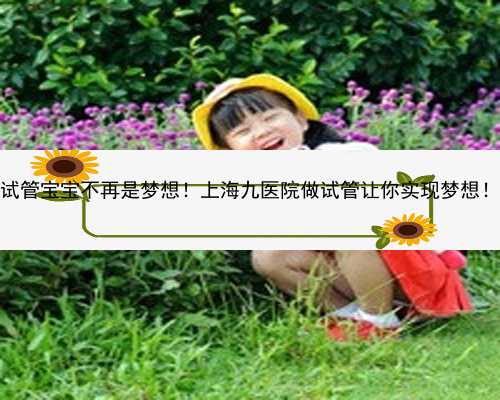 <b>试管宝宝不再是梦想！上海九医院做试管让你实现梦想！</b>