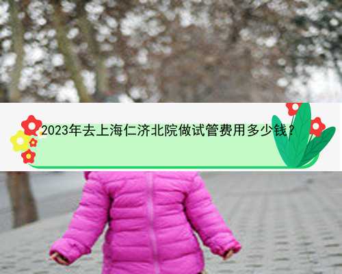 2023年去上海仁济北院做试管费用多少钱？