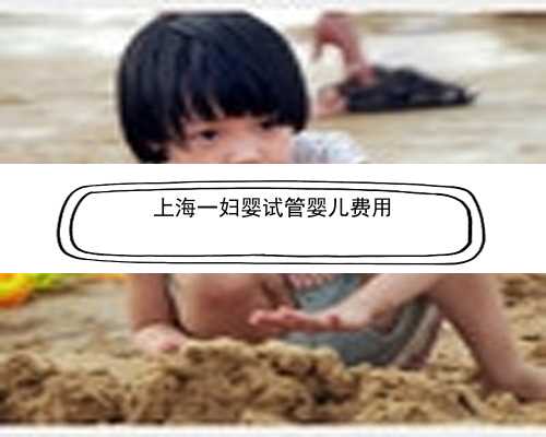 <b>上海一妇婴试管婴儿费用</b>